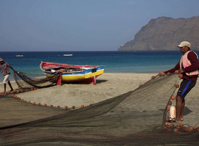 Roots Travel votre agence de voyage