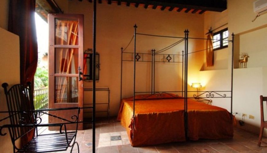 Roots Travel votre agence de voyage