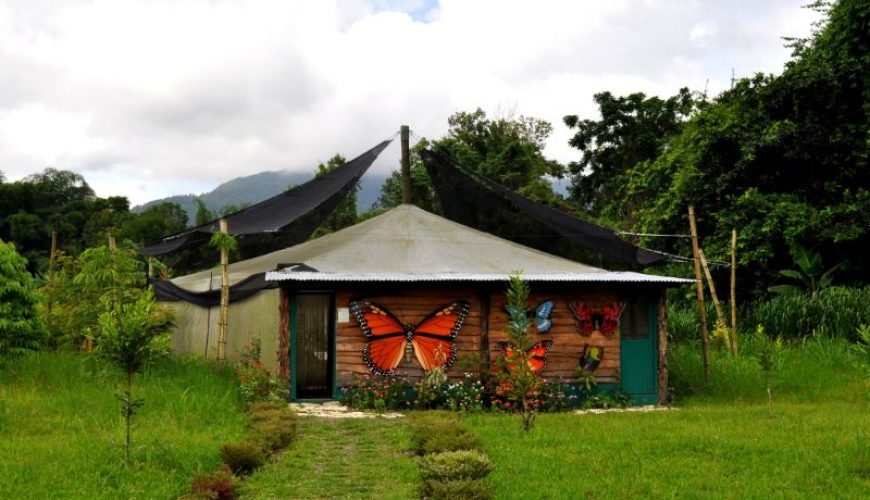 Roots Travel votre agence de voyage