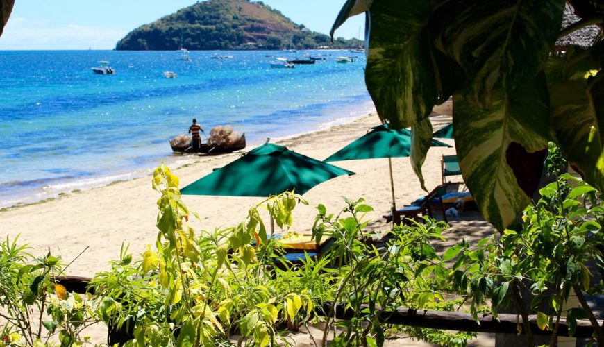 Roots Travel votre agence de voyage