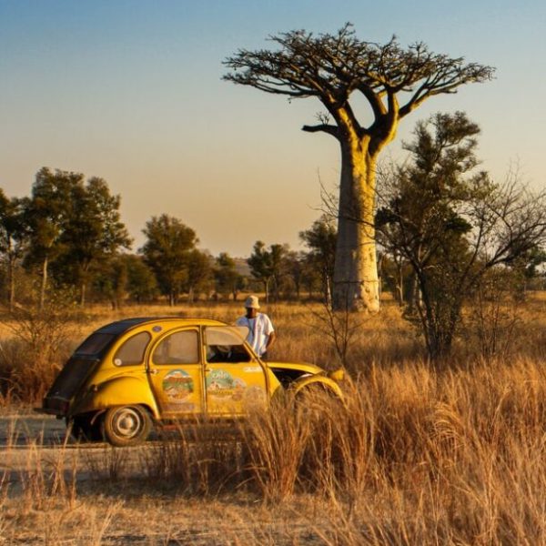 jacques-dillies-ITM82DCj6i8-unsplash-e1608639587447 jacques-dillies-ITM82DCj6i8-unsplash-e1608639587447