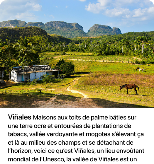 vinales